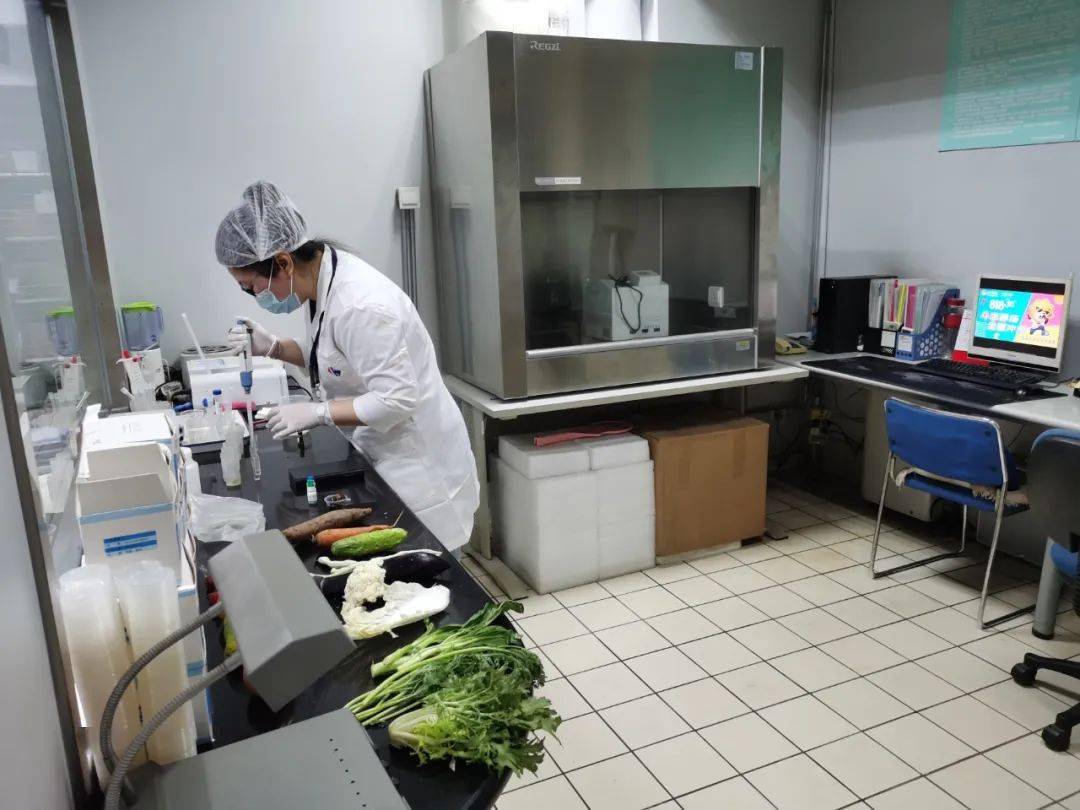 庆城食品检测实验室装修方案